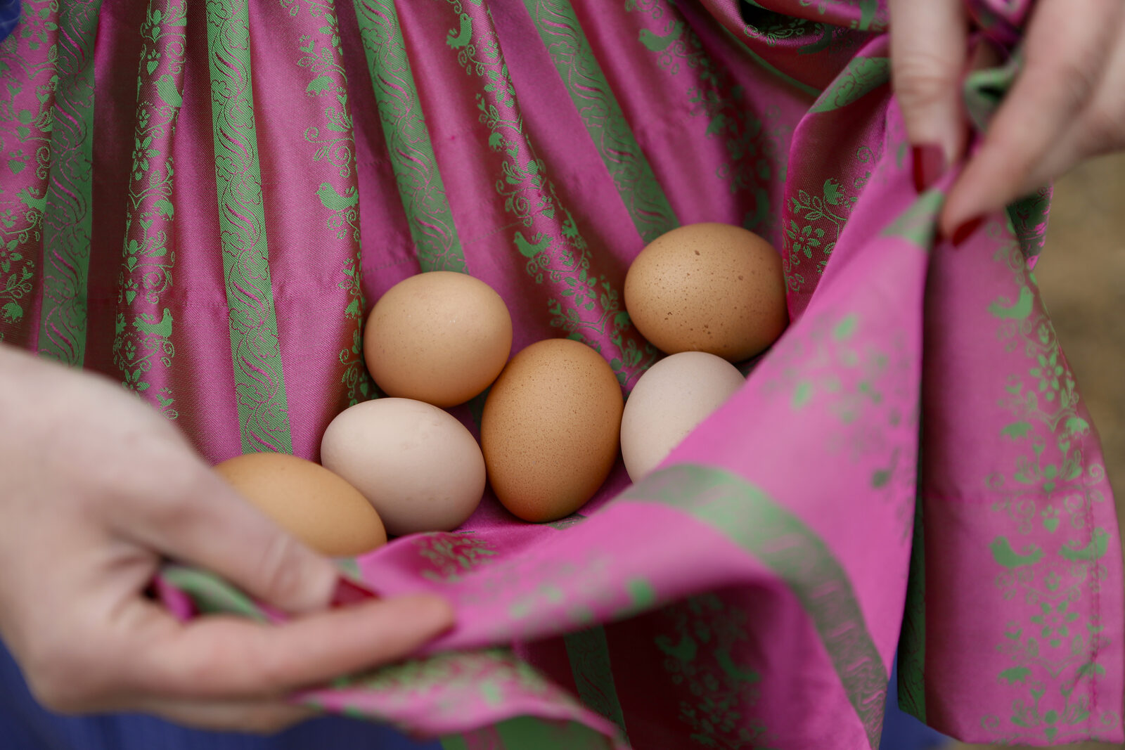 Friss farmtojások népviseleti kötényben — Remény Farm
